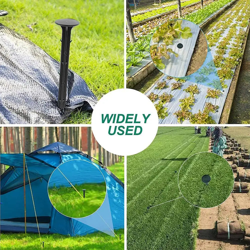 Fiksuojantys kaiščiai plevelei