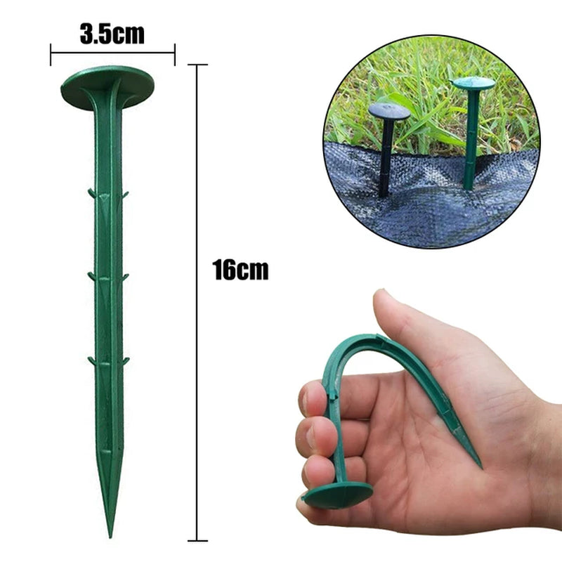 Fiksuojantys kaiščiai plevelei