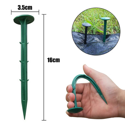 Fiksuojantys kaiščiai plevelei