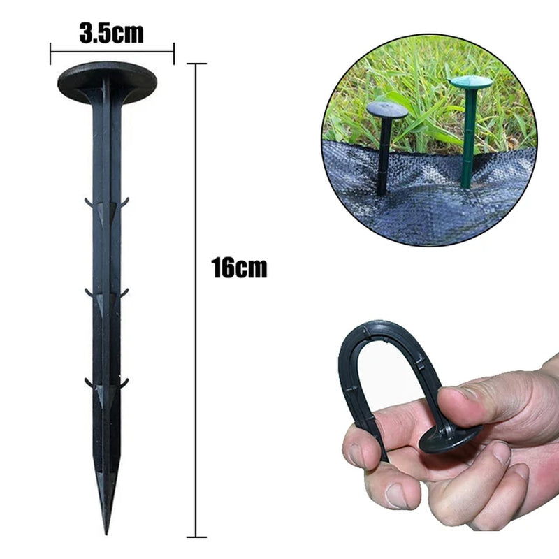 Fiksuojantys kaiščiai plevelei