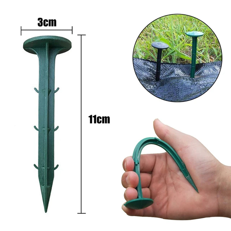 Fiksuojantys kaiščiai plevelei