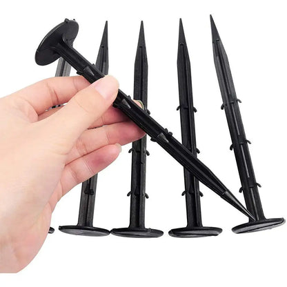 Fiksuojantys kaiščiai plevelei