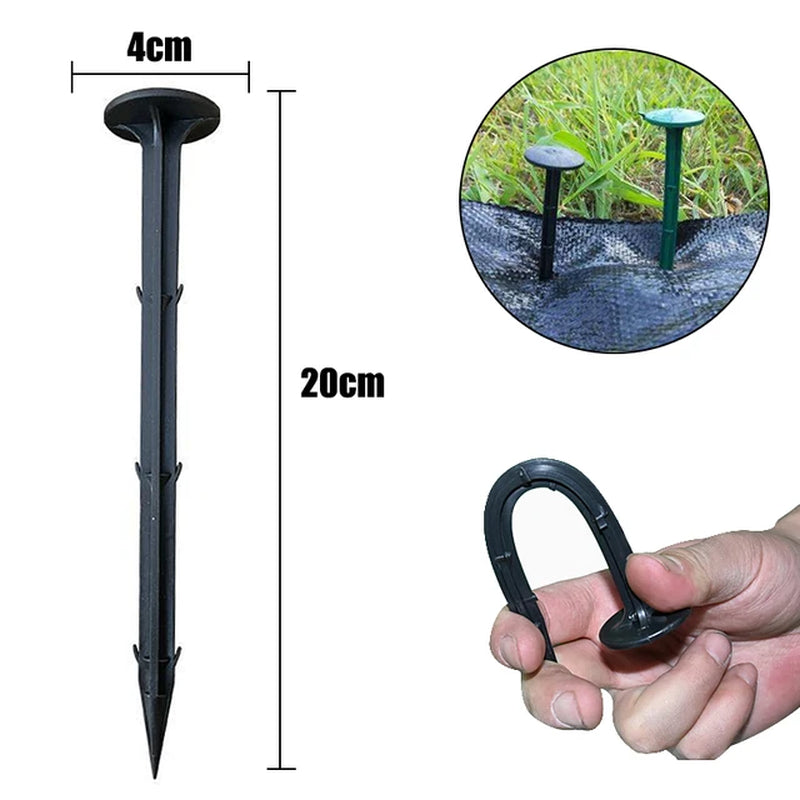 Fiksuojantys kaiščiai plevelei